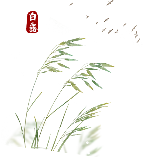 1136e856abce4a45a353d0fef6e0b205.gif 1136e856abce4a45a353d0fef6e0b205.gif