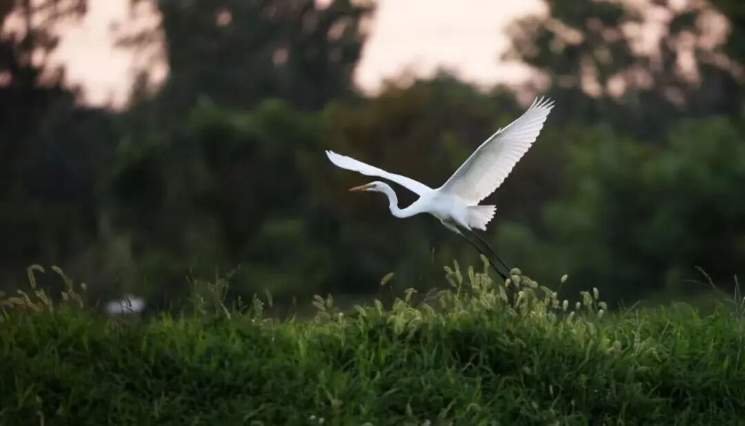 7f48c0fceac94eb38b09387f2ad79875.gif 7f48c0fceac94eb38b09387f2ad79875.gif