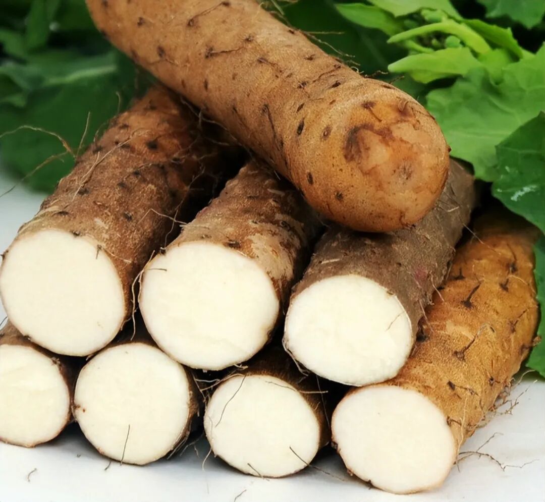 99adb43b61e84f26950260c541fa3f61.gif 99adb43b61e84f26950260c541fa3f61.gif