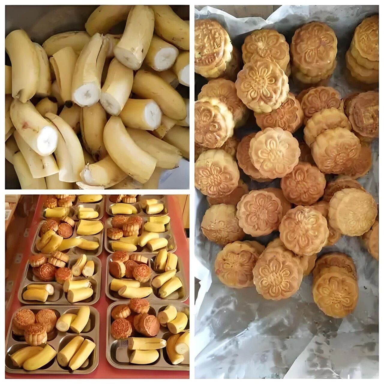 8cbab5c4cd3e403abc24a0748296c9c8.gif 8cbab5c4cd3e403abc24a0748296c9c8.gif